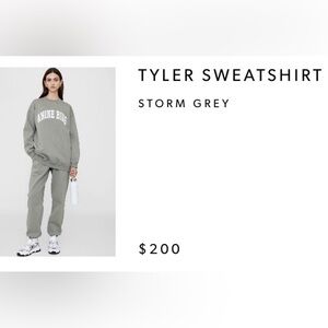 Anine Bing Light Gray Sweatshirt